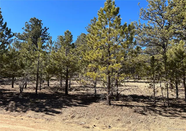 Photo 16 of Land for sale at 147 Haystack Rd, Hartsel, CO 80449 | MLS# 6778755 | Listing updated on 2026-03-09