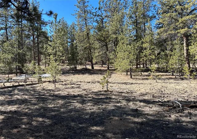 Photo 1 of Land for sale at 147 Haystack Rd, Hartsel, CO 80449 | MLS# 6778755 | Listing updated on 2026-03-09