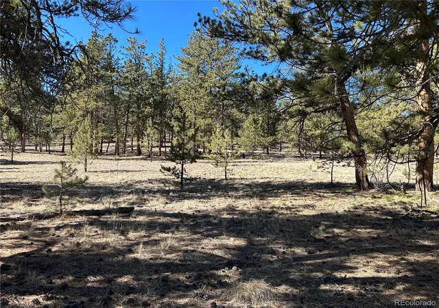 Photo 2 of Land for sale at 147 Haystack Rd, Hartsel, CO 80449 | MLS# 6778755 | Listing updated on 2026-03-09