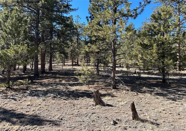 Photo 3 of Land for sale at 147 Haystack Rd, Hartsel, CO 80449 | MLS# 6778755 | Listing updated on 2026-03-09