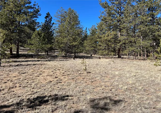 Photo 4 of Land for sale at 147 Haystack Rd, Hartsel, CO 80449 | MLS# 6778755 | Listing updated on 2026-03-09
