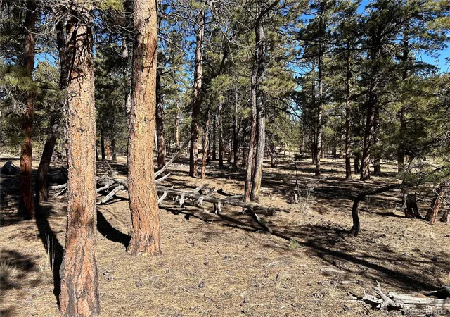 Photo 5 of Land for sale at 147 Haystack Rd, Hartsel, CO 80449 | MLS# 6778755 | Listing updated on 2026-03-09