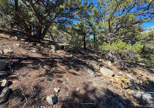 Photo 4 of Land for sale at Tbd Country Rd 572, Gardner, CO | MLS# 8271523 | Listing updated on 2026-03-10