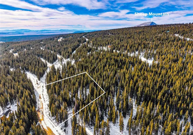 Homes for sale in Fairplay, CO | 345 Bum Dr, Fairplay, CO 80440 | MLS# 5919465