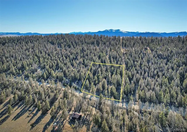 Homes for sale in Fairplay, CO | 1467 Redhill Rd, Fairplay, CO 80440 | MLS# 2815724