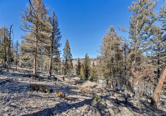 Homes for sale in Fairplay, CO | 1467 Redhill Rd, Fairplay, CO 80440 | MLS# 2815724