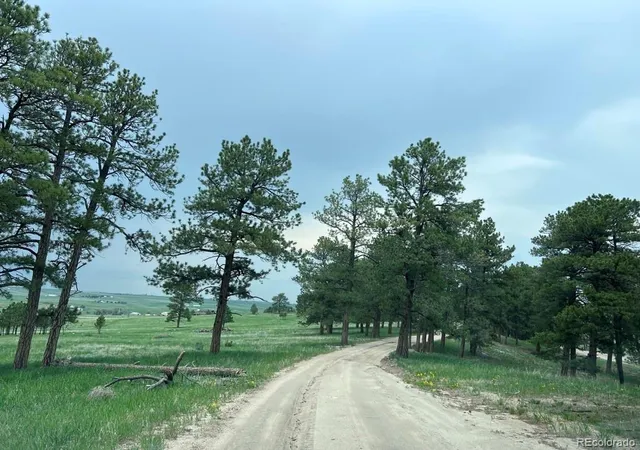 3rd image of 4560 County Road 114, Elizabeth, CO 80107 | MLS# 5118440