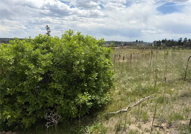 Photo 2 of Land for sale at 13810 Wildoak Dr, Colorado Springs, CO 80908 | MLS# 6921122 | Listing updated on 2026-09-25
