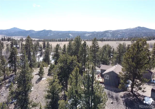 Homes for sale in Hartsel, CO | 1651 Aspen Trl, Hartsel, CO 80449 | MLS# 6025768