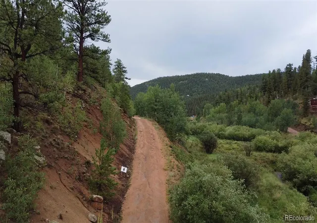 Photo 2 of Land for sale at 381 Neish St, Bailey, CO 80421 | MLS# 2594134 | Listing updated on 2026-10-14