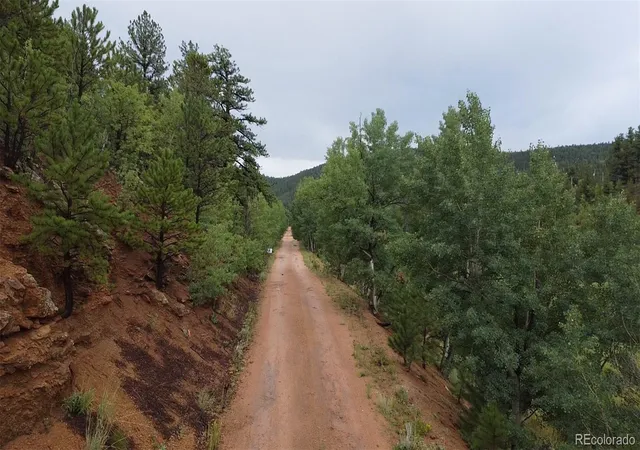 Photo 3 of Land for sale at 381 Neish St, Bailey, CO 80421 | MLS# 2594134 | Listing updated on 2026-10-14