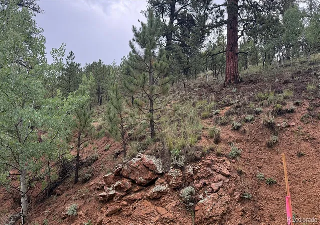 Photo 4 of Land for sale at 381 Neish St, Bailey, CO 80421 | MLS# 2594134 | Listing updated on 2026-10-14