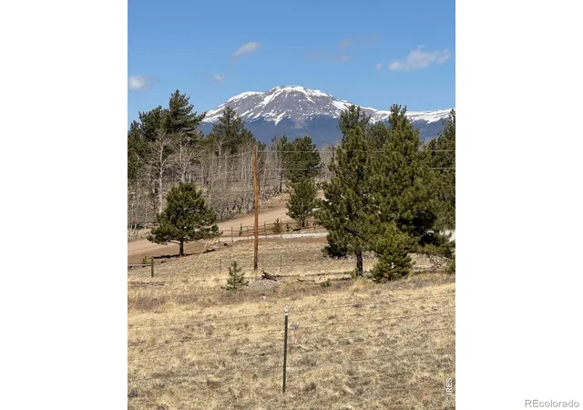 1st image of 2841 Singletree Rd, Hartsel, CO 80449 | MLS# IR1053264