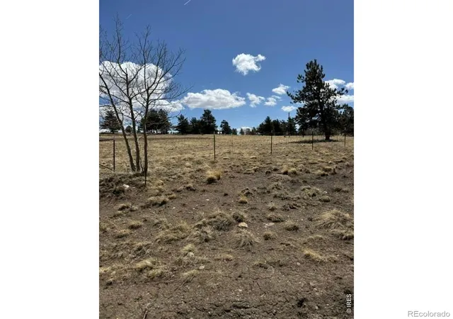 4th image of 2841 Singletree Rd, Hartsel, CO 80449 | MLS# IR1053264