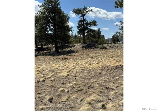 5th image of 2841 Singletree Rd, Hartsel, CO 80449 | MLS# IR1053264