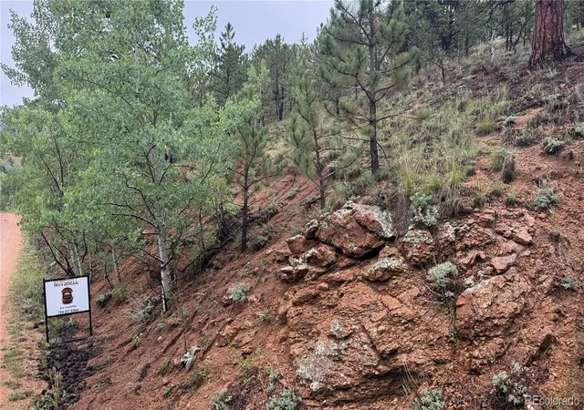 Photo 4 of Land for sale at 312 Marian St, Bailey, CO 80421 | MLS# 4224099 | Listing updated on 2026-10-14