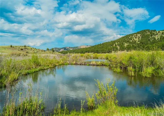 50th image of 224 Lakeview Forest Hts, Florissant, CO 80816 | MLS# 6658751