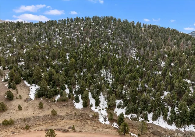 Homes for sale in Florissant, CO | 278 Penrose Cir, Florissant, CO 80816 | MLS# 8363171