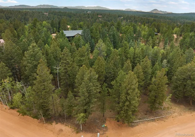 Homes for sale in Divide, CO | 810 Ridge Rd, Divide, CO 80814 | MLS# 3665420