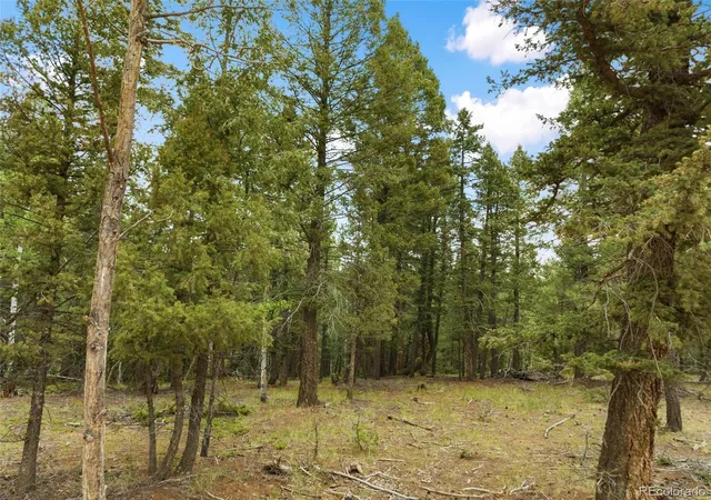 Homes for sale in Divide, CO | 810 Ridge Rd, Divide, CO 80814 | MLS# 3665420