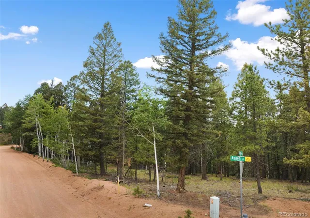 Homes for sale in Divide, CO | 810 Ridge Rd, Divide, CO 80814 | MLS# 3665420
