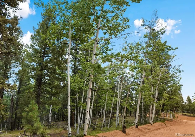 Homes for sale in Divide, CO | 810 Ridge Rd, Divide, CO 80814 | MLS# 3665420