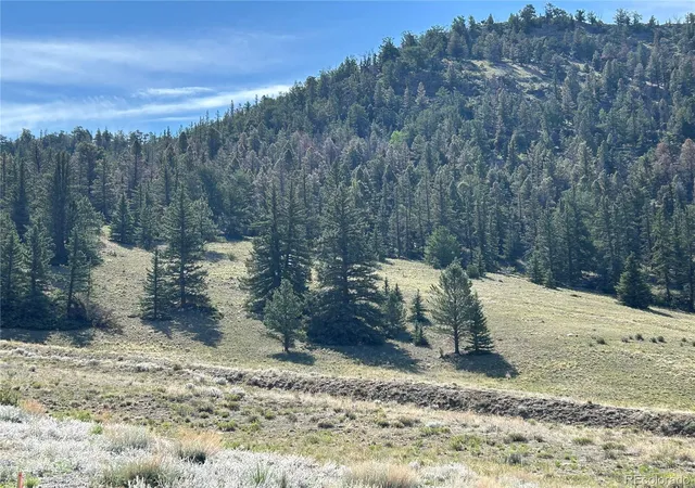 Homes for sale in Buena Vista, CO | Hwy 285/24, Buena Vista, CO 81211 | MLS# 8521478