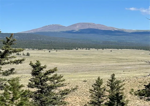 Homes for sale in Buena Vista, CO | Hwy 285/24, Buena Vista, CO 81211 | MLS# 8521478