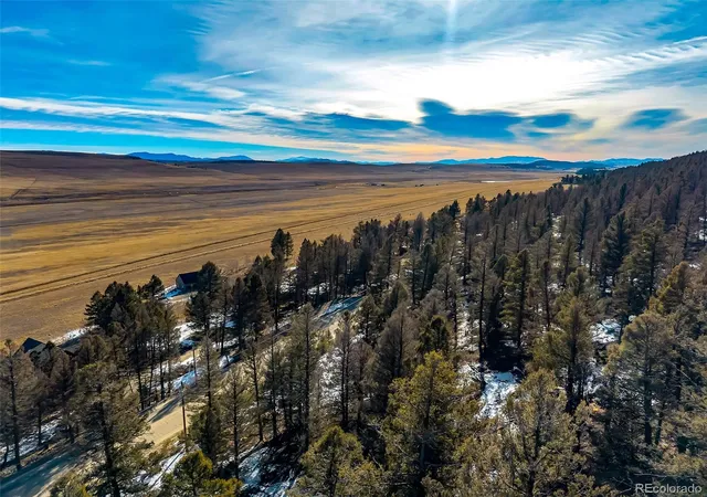 Homes for sale in Fairplay, CO | 1423 Redhill Rd, Fairplay, CO 80440 | MLS# 4090918
