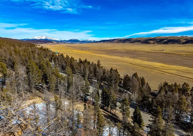 Homes for sale in Fairplay, CO | 1423 Redhill Rd, Fairplay, CO 80440 | MLS# 4090918