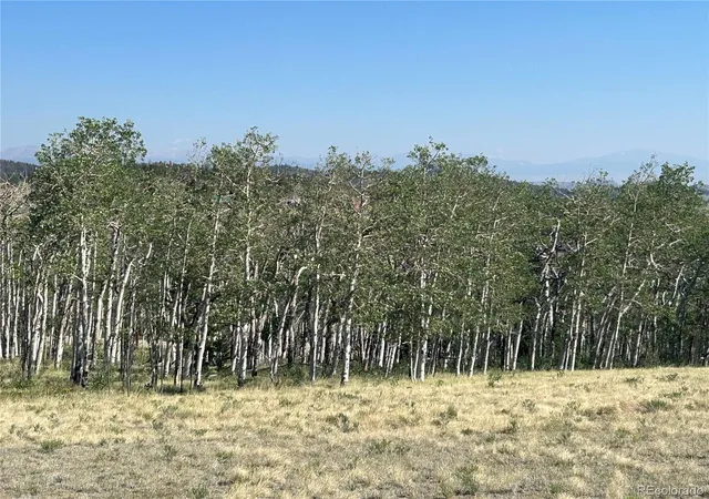 Homes for sale in Hartsel, CO | 8608 Ranch Rd, Hartsel, CO 80449 | MLS# 7991357
