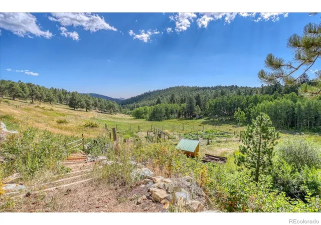 Homes for sale in Ward, CO | 143 Crockett Trl, Ward, CO 80481 | MLS# IR1053437