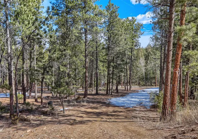 Homes for sale in Pine, CO | 249 Territory Dr, Pine, CO 80470 | MLS# 1737145