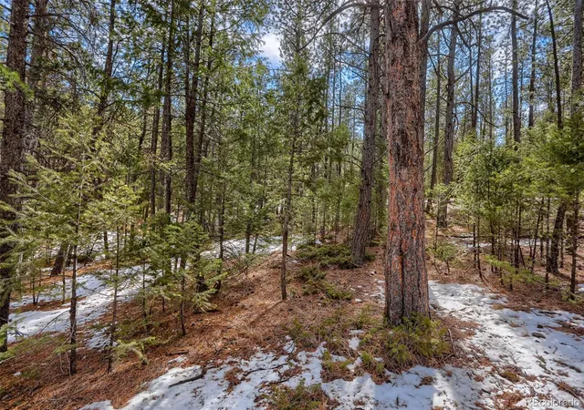 Homes for sale in Pine, CO | 249 Territory Dr, Pine, CO 80470 | MLS# 1737145