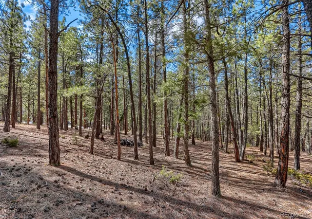 Homes for sale in Pine, CO | 249 Territory Dr, Pine, CO 80470 | MLS# 1737145