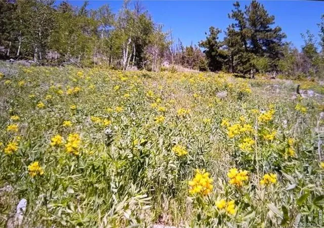 2nd image of 215 Murdock Dr, Red Feather Lakes, CO 80545 | MLS# IR1053542