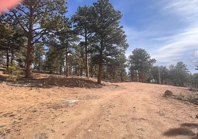 49th image of 215 Murdock Dr, Red Feather Lakes, CO 80545 | MLS# IR1053542