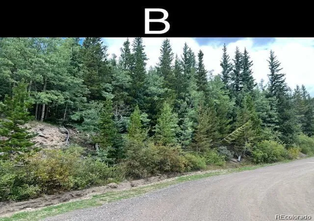 Photo 3 of Land for sale at 000 Nebraska Dr, Idaho Springs, CO 80452 | MLS# 5817636 | Listing updated on 2026-08-24
