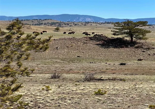 2nd image of 391 Gulch Rd, Hartsel, CO 80449 | MLS# 3397340