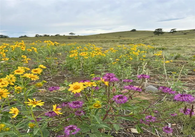 5th image of 391 Gulch Rd, Hartsel, CO 80449 | MLS# 3397340