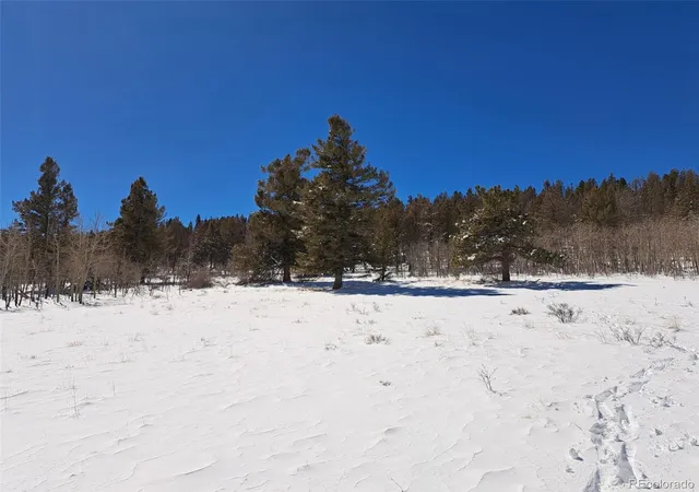 Photo 5 of Land for sale at 00 Redhill Rd, Fairplay, CO 80440 | MLS# 4724279 | Listing updated on 2026-07-22