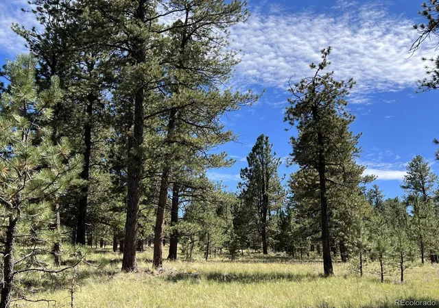 1st image of 82 Kiowa Cir, Westcliffe, CO 81252 | MLS# 7353406