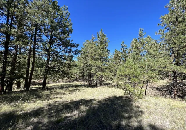 2nd image of 82 Kiowa Cir, Westcliffe, CO 81252 | MLS# 7353406