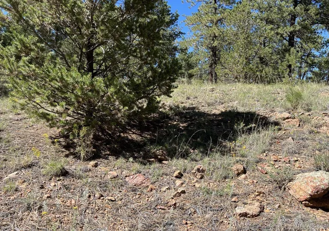 4th image of 82 Kiowa Cir, Westcliffe, CO 81252 | MLS# 7353406