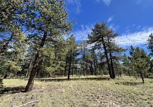 5th image of 82 Kiowa Cir, Westcliffe, CO 81252 | MLS# 7353406