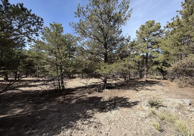 3rd image of 262 Harmon Dr, Cotopaxi, CO 81223 | MLS# 6397155