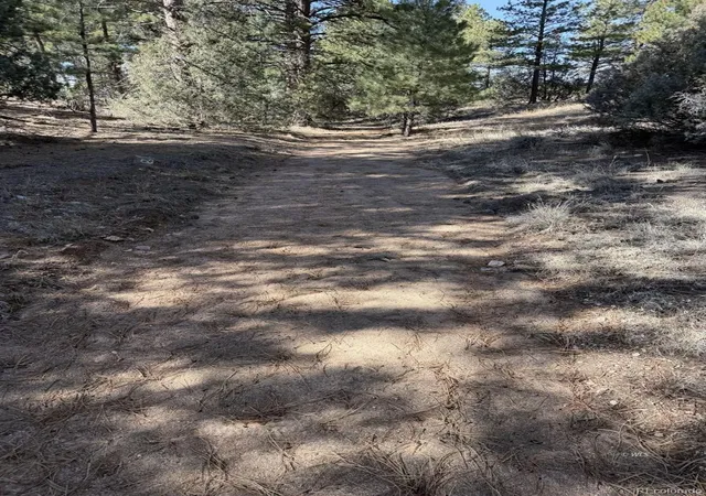 4th image of 262 Harmon Dr, Cotopaxi, CO 81223 | MLS# 6397155