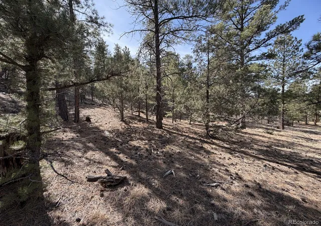 5th image of 262 Harmon Dr, Cotopaxi, CO 81223 | MLS# 6397155