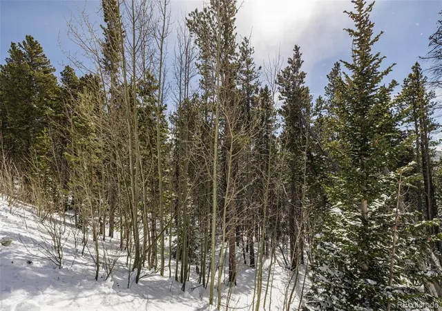 Homes for sale in Idaho Springs, CO | 757 Texas Dr, Idaho Springs, CO 80452 | MLS# 4967139