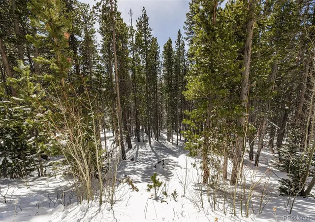 Homes for sale in Idaho Springs, CO | 757 Texas Dr, Idaho Springs, CO 80452 | MLS# 4967139